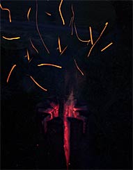 Funkenflug bei einer Baumfackel