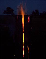 Baumfackel; geheimnisvoll und faszinierend