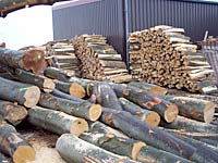 Holzverkauf - lassen Sie sich ein Angebot machen!